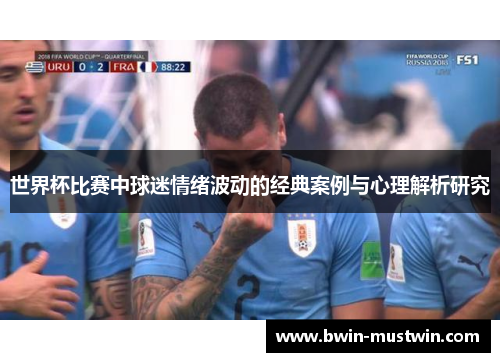 世界杯比赛中球迷情绪波动的经典案例与心理解析研究