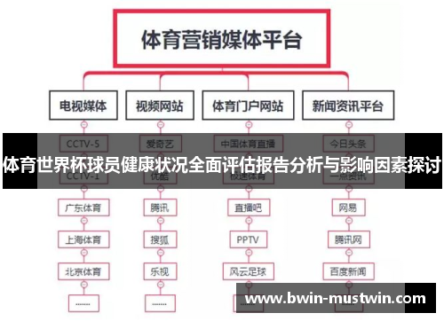 体育世界杯球员健康状况全面评估报告分析与影响因素探讨