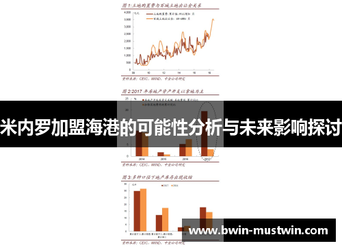 米内罗加盟海港的可能性分析与未来影响探讨
