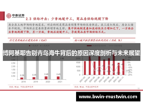 博阿基耶告别青岛海牛背后的原因深度剖析与未来展望
